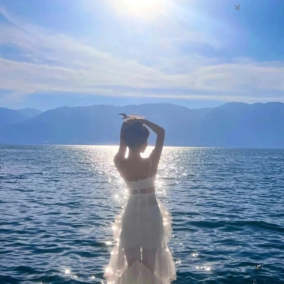 迷蝶 海报